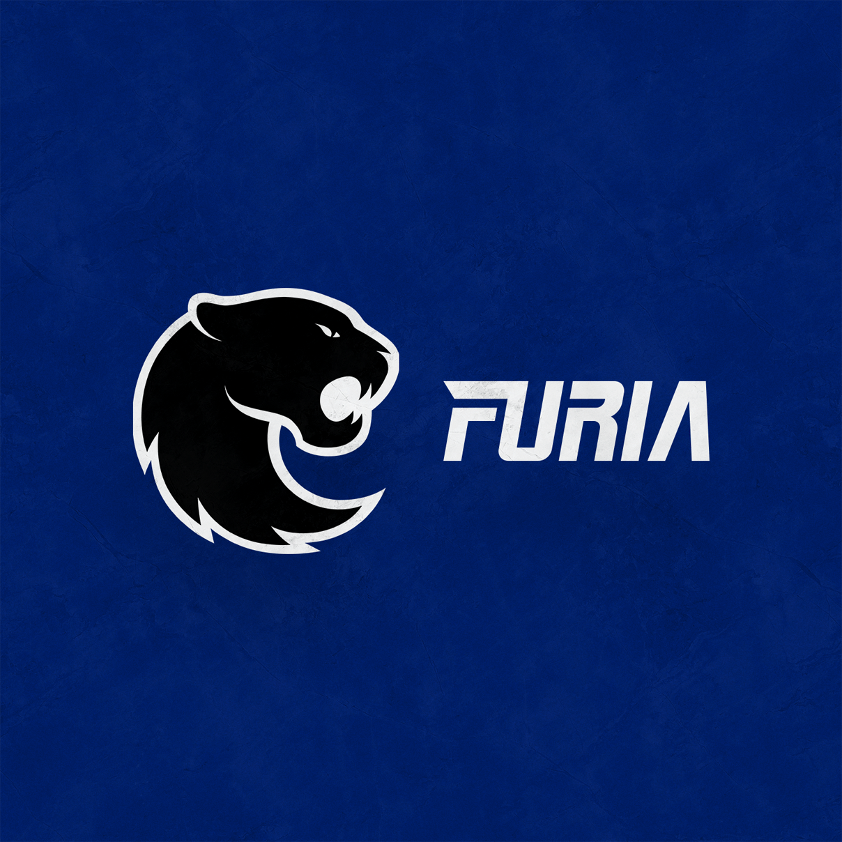 FURIA Esports - Rebranding on Behance
